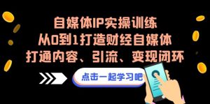 自媒体IP实操训练，从0到1打造财经自媒体，打通内容、引流、变现闭环-财仔梦想资源网