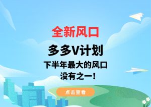 全新风口，多多V计划，下半年最大的风口，没有之一！-财仔梦想资源网