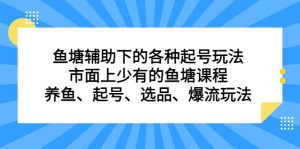 鱼塘 辅助下的各种起号玩法，市面上少有的鱼塘课程 养鱼 起号 选品 爆流…-财仔梦想资源网