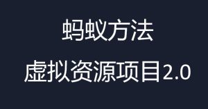虚拟资源掘金课，虚拟资源的全套玩法 价值1980元-财仔梦想资源网