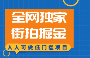 全网独家一街拍掘金，低门槛人人可做的赚钱项目-财仔梦想资源网