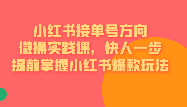 小红书接单号方向微操实践课，快人一步提前掌握小红书爆款玩法-财仔梦想资源网