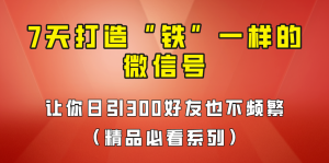 7天养出“铁”一样的微信号，日引300粉不频繁，方法价值880元！-财仔梦想资源网