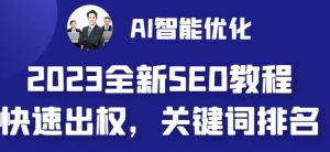 2023最新网站AI智能优化SEO教程，简单快速出权重，AI自动写文章+AI绘画配图-财仔梦想资源网