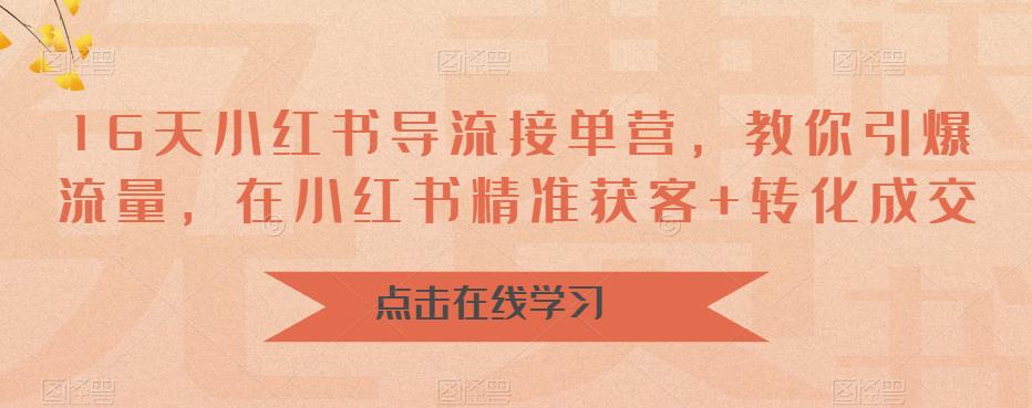 16天-小红书 导流接单营，教你引爆流量，在小红书精准获客+转化成交-财仔梦想资源网