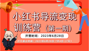 小红书导流变现营，一线实操实战团队总结，真正实战，全是细节！-财仔梦想资源网