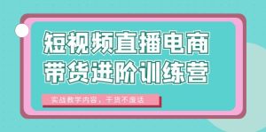 短视频直播电商带货进阶训练营：实战教学内容，干货不废话！-财仔梦想资源网