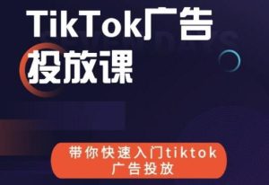 《跨境B哥TIKTOK广告投放课》带你快速入门TIKTOK广告投放-财仔梦想资源网