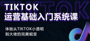 《Tiktok运营基础入门系统课》从tiktok小白到大佬的完美蜕变-财仔梦想资源网
