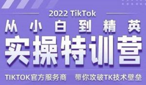 Seven漆《Tiktok从小白到精英实操特训营》带你掌握Tiktok账号运营-财仔梦想资源网