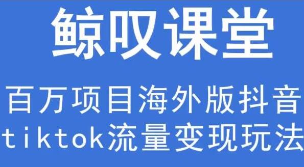 鲸叹号《海外TIKTOK训练营》百万项目海外版抖音tiktok流量变现玩法-财仔梦想资源网