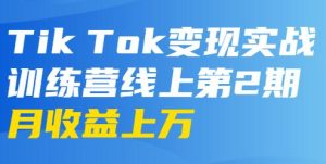 龟课-TikTok变现实战训练营 第2-4期 月收益上万不成问题-财仔梦想资源网