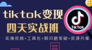 tiktok变现四天实战班视频：连怼技术+矩阵玩法赚,单账号月入2000美金-财仔梦想资源网