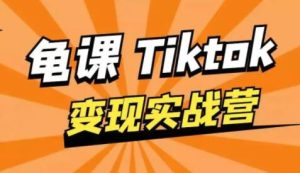 龟课-TikTok变现实战训练营 第1期 多种变现模式，轻松赚美刀-财仔梦想资源网