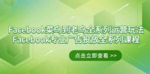 （9065期）Facebook-菜鸟到老鸟全系列运营玩法+Facebook-专业广告投放全系列课程-财仔梦想资源网