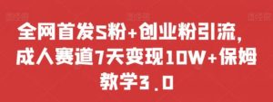 全网首发S粉+创业粉引流，成人赛道7天变现10W+保姆教学3.0【揭秘】-财仔梦想资源网