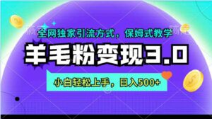 （9116期）羊毛粉变现3.0全网独家引流方式，小白轻松上手，日入500+-财仔梦想资源网