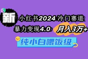 （9134期）小红书2024冷门赛道月入3万+暴力变现4.0纯小白喂饭级-财仔梦想资源网