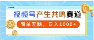 （9133期）2024年视频号，产生共鸣赛道，简单无脑，一分钟一条视频，日入1000+-财仔梦想资源网