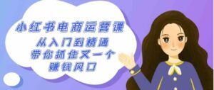 （9053期）2024小红书-电商运营课，从入门到精通，带你抓住又一个赚钱风口（50节课）-财仔梦想资源网