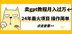 （9180期）24年最火项目，卖gpt教程月入过万，操作简单-财仔梦想资源网