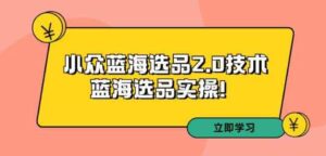 （9189期）拼多多培训第33期：小众蓝海选品2.0技术-蓝海选品实操！-财仔梦想资源网