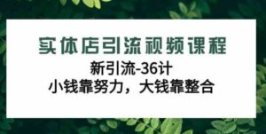 （9048期）实体店引流视频课程，新引流-36计，小钱靠努力，大钱靠整合（48节-无水印）-财仔梦想资源网