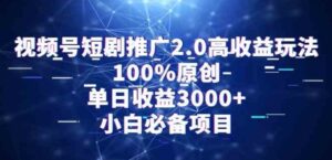 （9236期）视频号短剧推广2.0高收益玩法，100%原创，单日收益3000+，小白必备项目-财仔梦想资源网