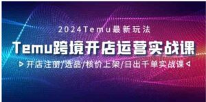 （9208期）2024Temu跨境开店运营实战课，开店注册/选品/核价上架/日出千单实战课-财仔梦想资源网