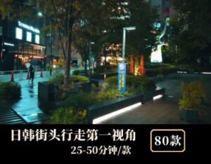 日韩城市街头行走第一视角素材-财仔梦想资源网