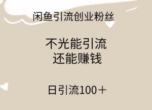 （9290期）闲鱼精准引流创业粉丝，日引流100＋，引流过程还能赚钱-财仔梦想资源网