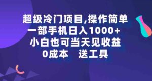 （9291期）超级冷门项目,操作简单，一部手机轻松日入1000+，小白也可当天看见收益-财仔梦想资源网