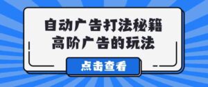 （9298期）Alice自动广告打法秘籍，高阶广告的玩法-财仔梦想资源网