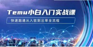 （9295期）Temu小白入门实战课：跨境拼多多电商培训快速跑通从入驻到出单全流程-12节-财仔梦想资源网