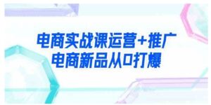 （9313期）电商实战课运营+推广，电商新品从0打爆（99节视频课）-财仔梦想资源网