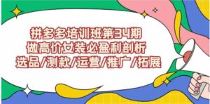 （9333期）拼多多培训班第34期：做高价女装必盈利剖析选品/测款/运营/推广/拓展-财仔梦想资源网