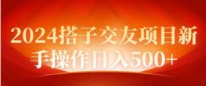 （9345期）2024同城交友项目新手操作日入500+-财仔梦想资源网