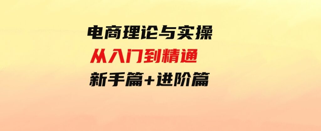 （9576期）电商理论与实操从入门到精通新手篇+进阶篇-财仔梦想资源网