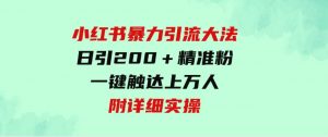 （9582期）小红书暴力引流大法，日引200＋精准粉，一键触达上万人，附详细实操-财仔梦想资源网