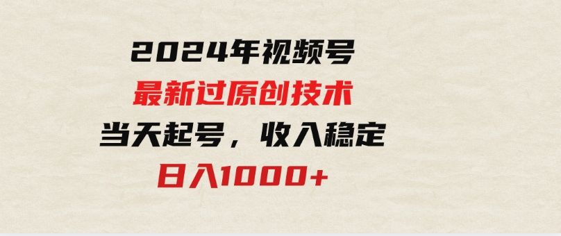 （9565期）2024年视频号最新过原创技术，当天起号，收入稳定，日入1000+-财仔梦想资源网