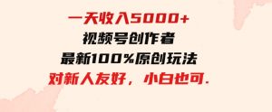 （9568期）一天收入5000+，视频号创作者，最新100%原创玩法，对新人友好，小白也可.-财仔梦想资源网