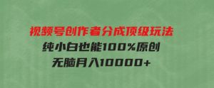 （9608期）视频号创作者分成顶级玩法，纯小白也能100%原创，无脑月入10000+-财仔梦想资源网