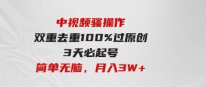 （9649期）中视频骚操作，双重去重100%过原创，3天比必起号，简单无脑，月入3W+-财仔梦想资源网