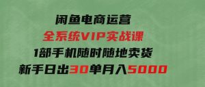（9547期）闲鱼电商运营全系统VIP实战课，1部手机随时随地卖货，新手日出30单月入5000-财仔梦想资源网