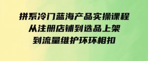 （9527期）拼系冷门蓝海产品实操课程，从注册店铺到选品上架到流量维护环环相扣-财仔梦想资源网