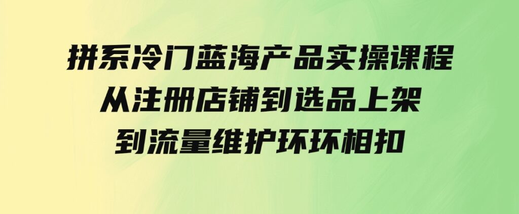 （9527期）拼系冷门蓝海产品实操课程，从注册店铺到选品上架到流量维护环环相扣-财仔梦想资源网