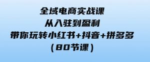 （9529期）全域电商实战课：从入驻到盈利，带你玩转小红书+抖音+拼多多（80节课）-财仔梦想资源网