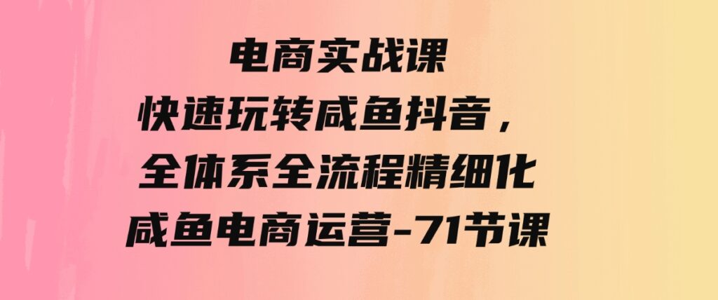 （9528期）电商实战课，快速玩转咸鱼抖音，全体系全流程精细化咸鱼电商运营-71节课-财仔梦想资源网