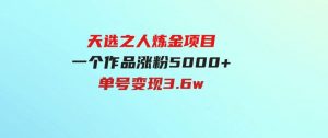 （9693期）天选之人炼金项目，一个作品涨粉5000+，单号变现3.6w-财仔梦想资源网