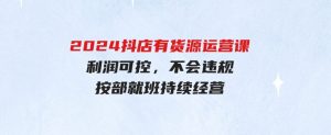 （9702期）2024抖店有货源运营课：全流程可控，利润可控，不会违规，按部就班持续经营-财仔梦想资源网